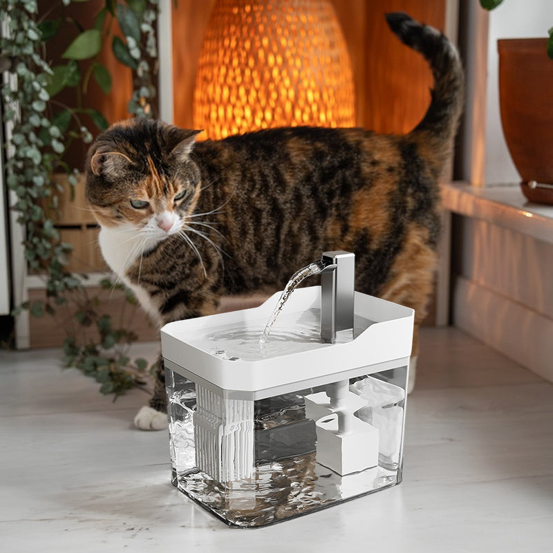 Fuente de agua con filtro, tapa blanca, junto a un gato en casa