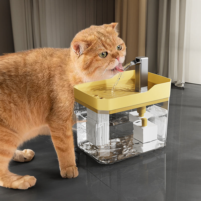 Gato bebiendo de la fuente de agua con filtro, tapa amarilla