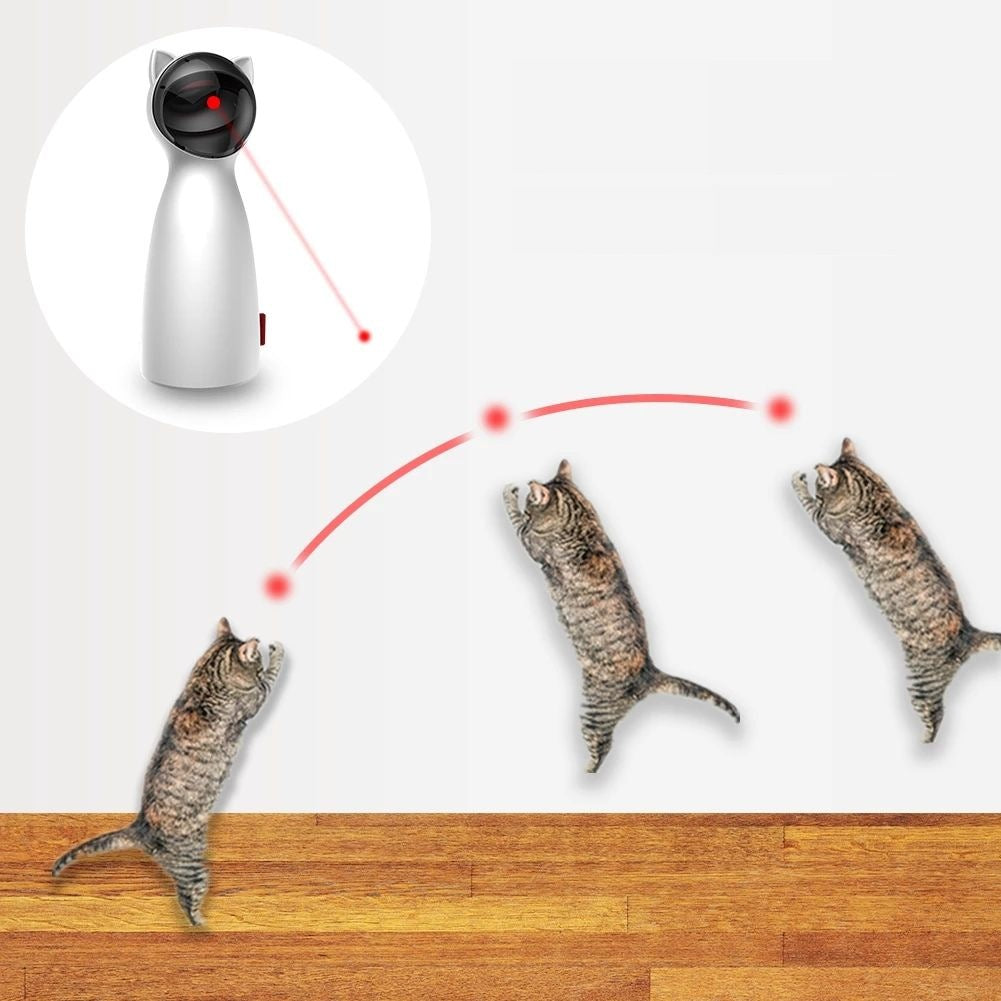 Gatos saltando detrás del punto rojo del láser